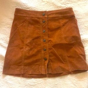 Velvet madewell skirt